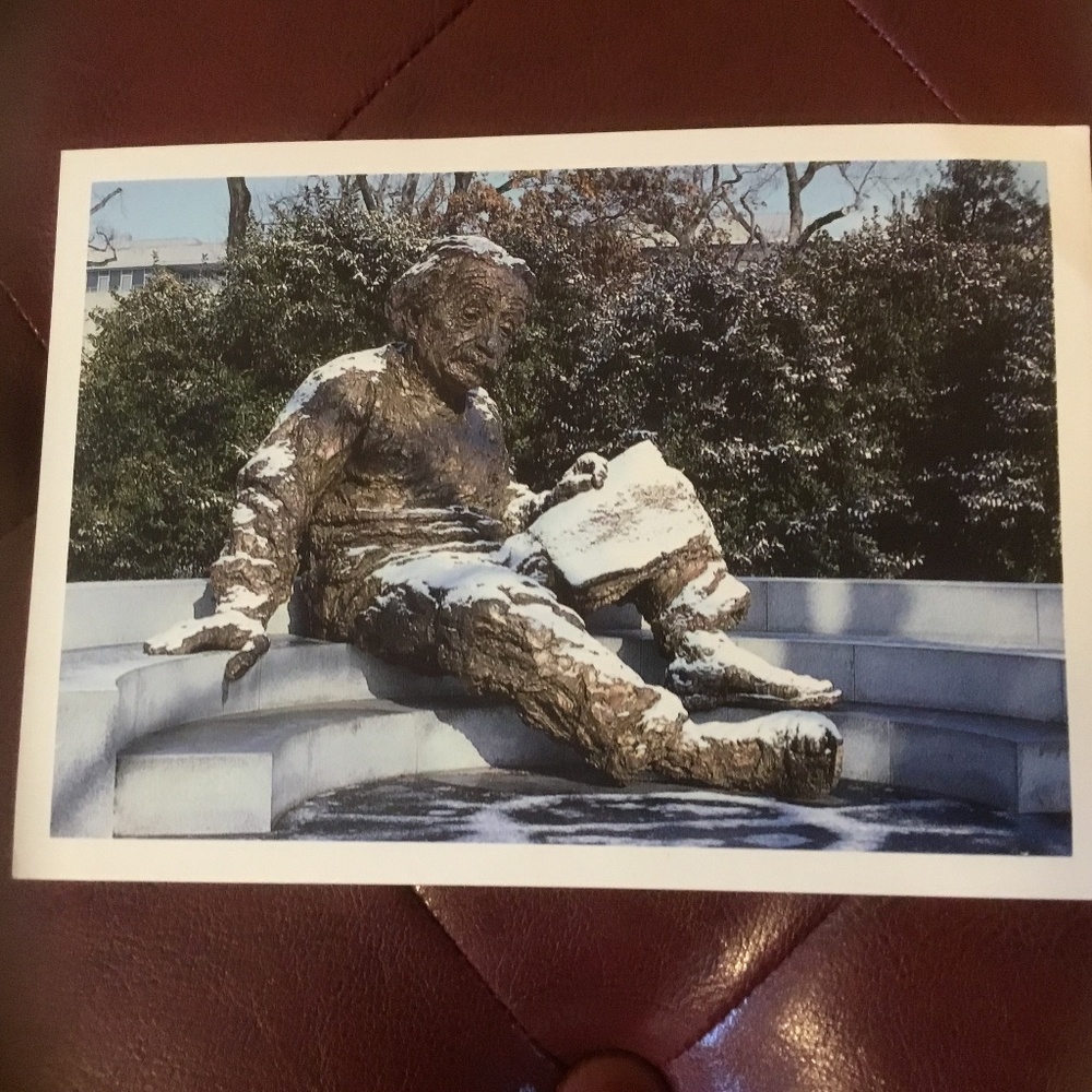 The Albert Einstein Memorial Postcard - National Academy of Sciences Wash, DC